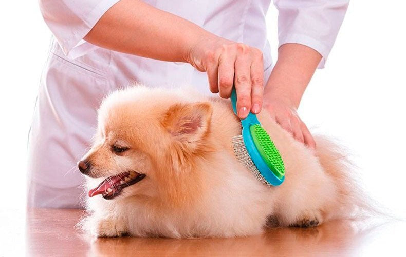 Pet Groominng