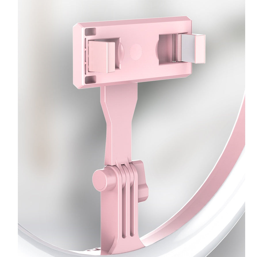 Dimmable Light Selfie LED 10 inch  Ring Light With Tripod